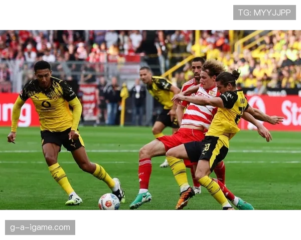 德甲转会窗口落幕：球队布局调整与新星崛起成焦点