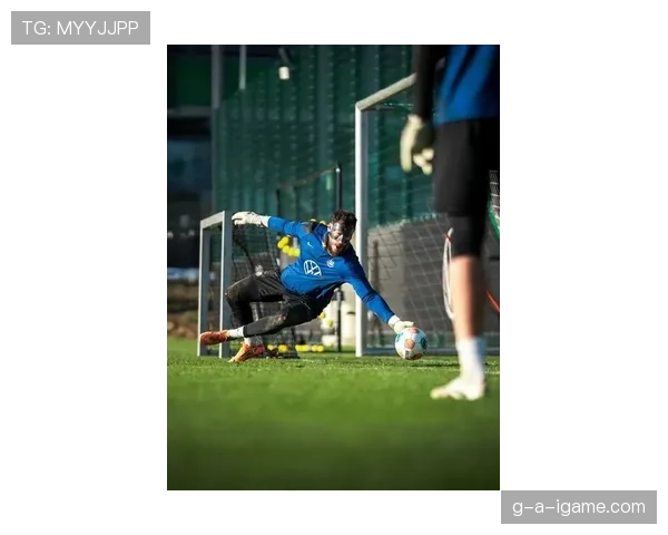 鲍尔执掌德甲新军，能否率队重铸辉煌引关注