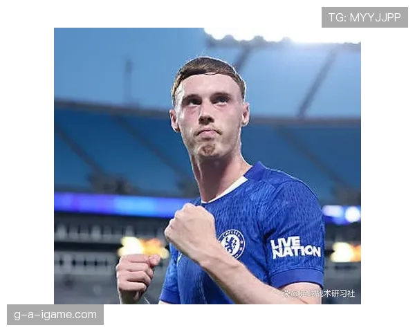 帕尔默效率与战术角色匹配度分析